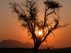 Namibia